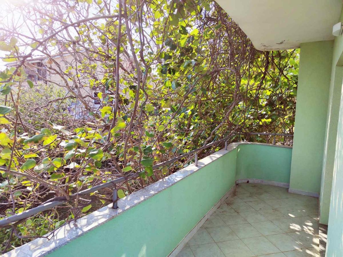Green House Čavle Εξωτερικό φωτογραφία